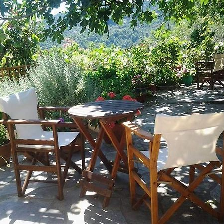 Alónnisos Villa Panayiota מראה חיצוני תמונה