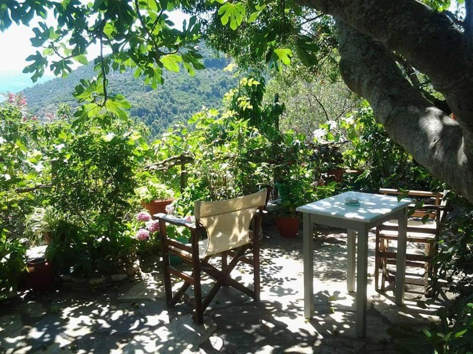 Alónnisos Villa Panayiota מראה חיצוני תמונה