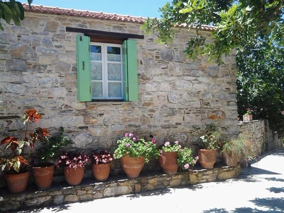 Alónnisos Villa Panayiota מראה חיצוני תמונה