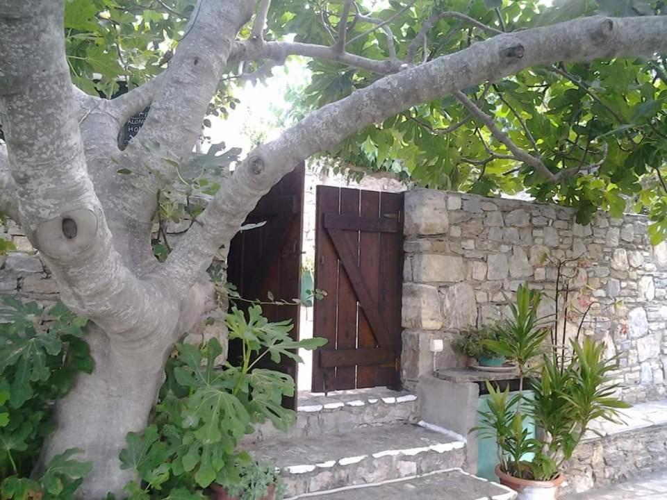 Alónnisos Villa Panayiota מראה חיצוני תמונה
