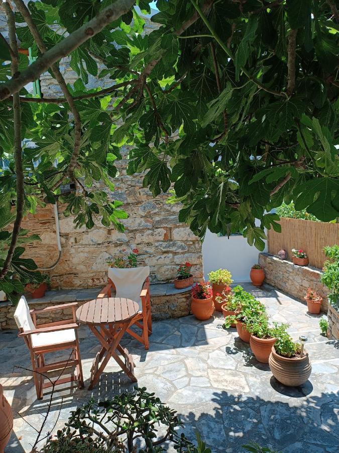 Alónnisos Villa Panayiota מראה חיצוני תמונה